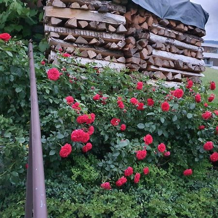 Dreamlandranch Vorarlberg Schlins Exterior foto