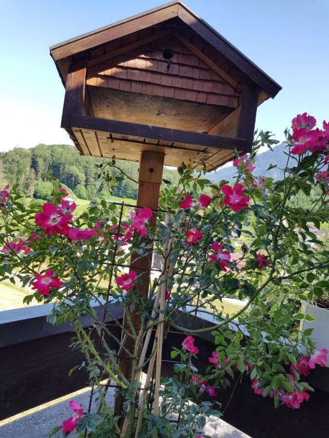 Dreamlandranch Vorarlberg Schlins Exterior foto